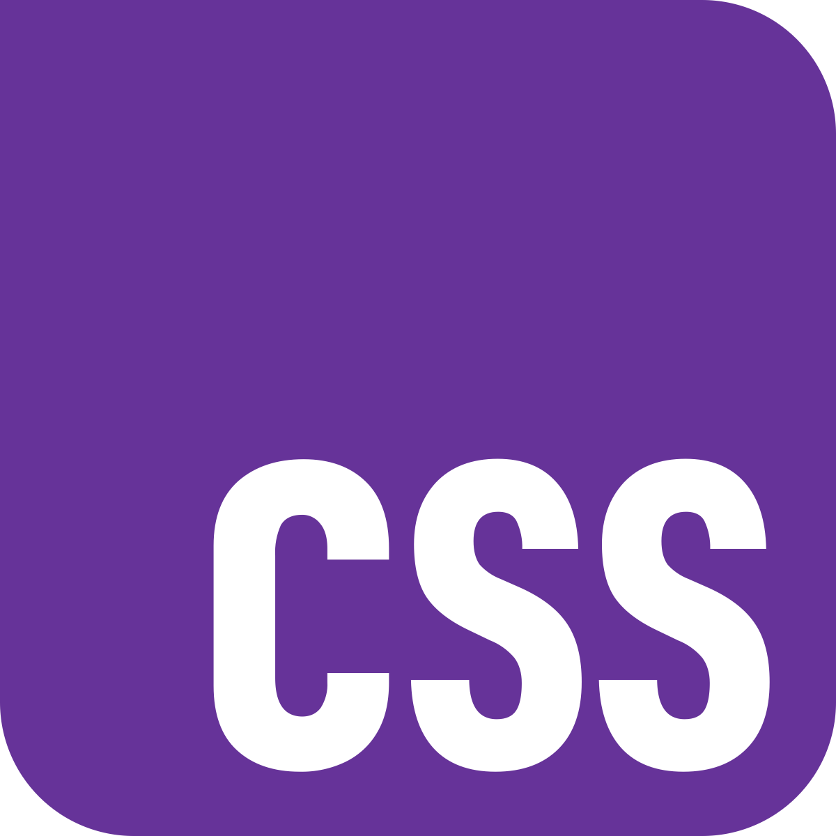 CSS logo